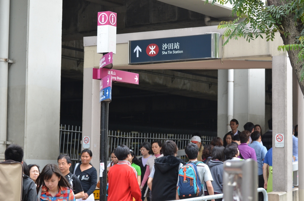 shatin8.jpg