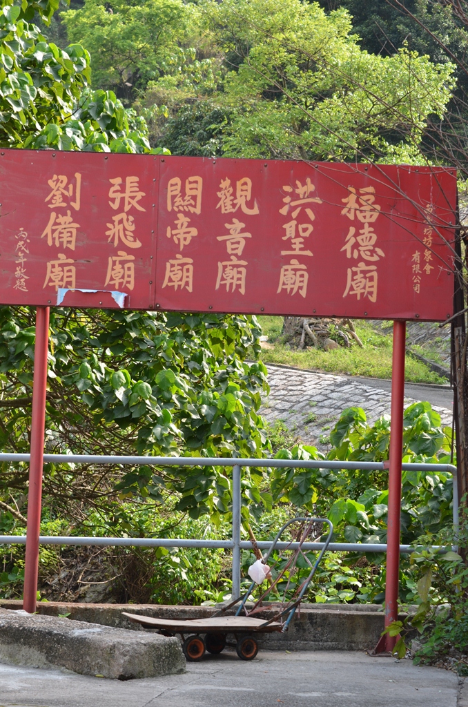 shau8.jpg