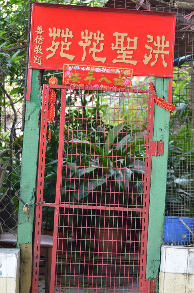 shau9.jpg