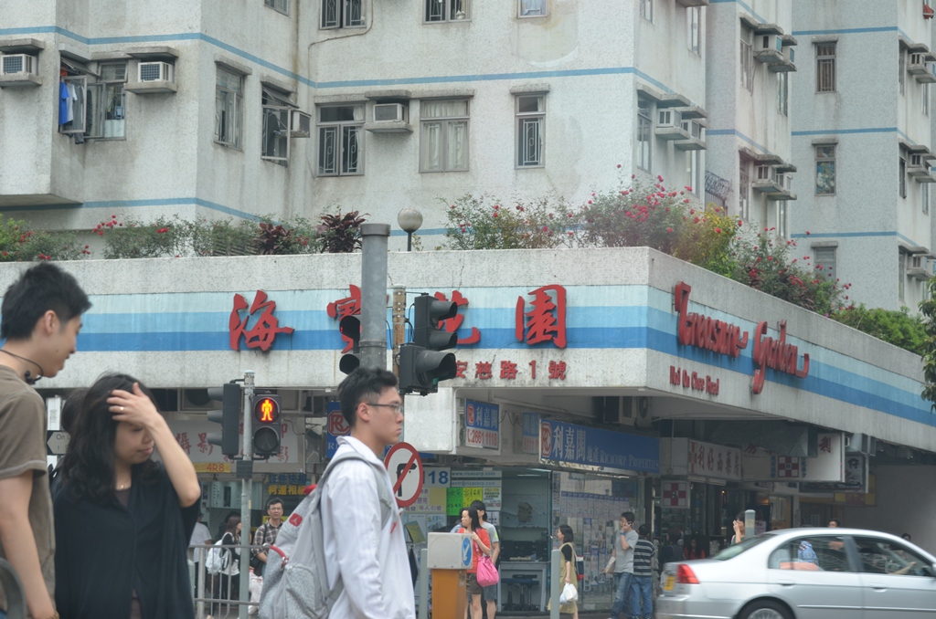 taipo8.jpg