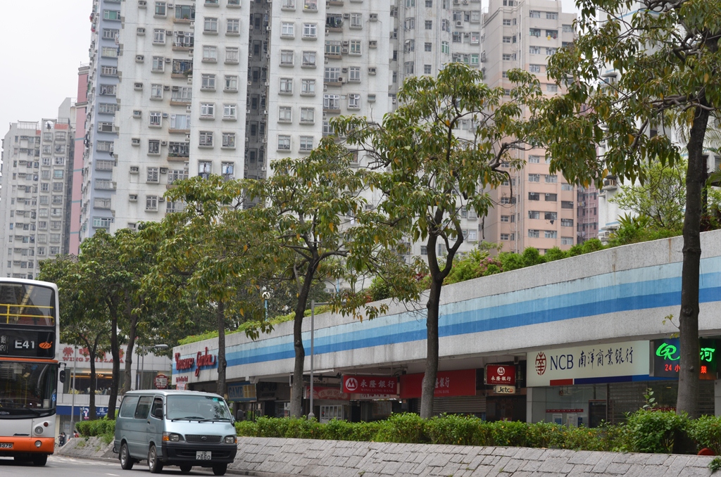 taipo9.jpg