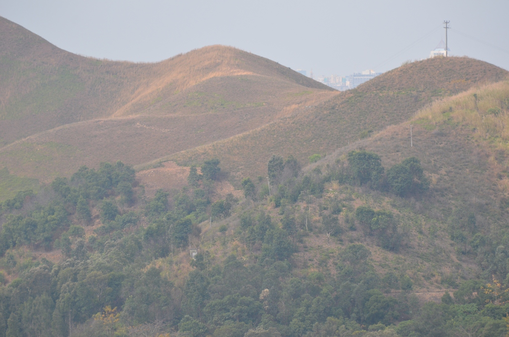 takuleng5.jpg