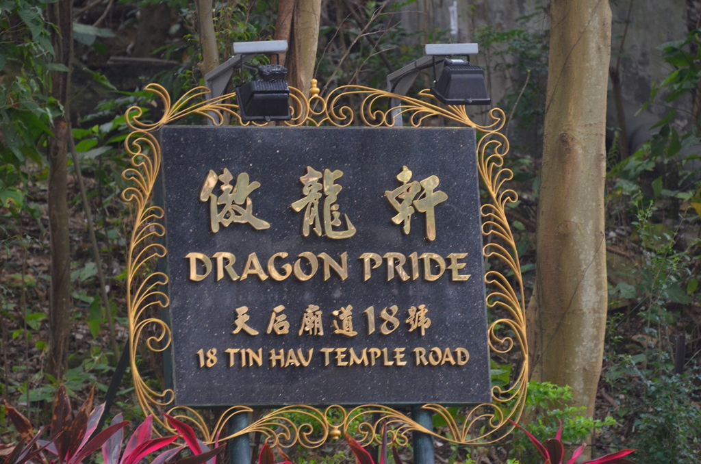 tinhau4.jpg