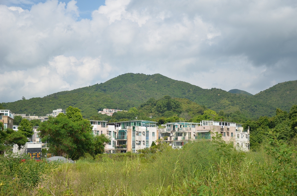 tse8.jpg