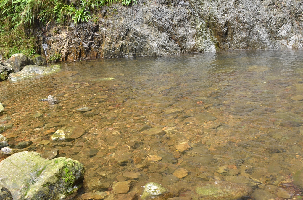 waterf5.jpg