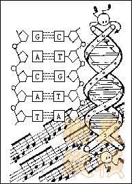 DNA.jpg