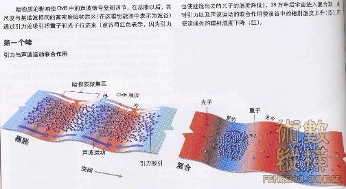 潜规则的原因（引力调节、初期）.jpg