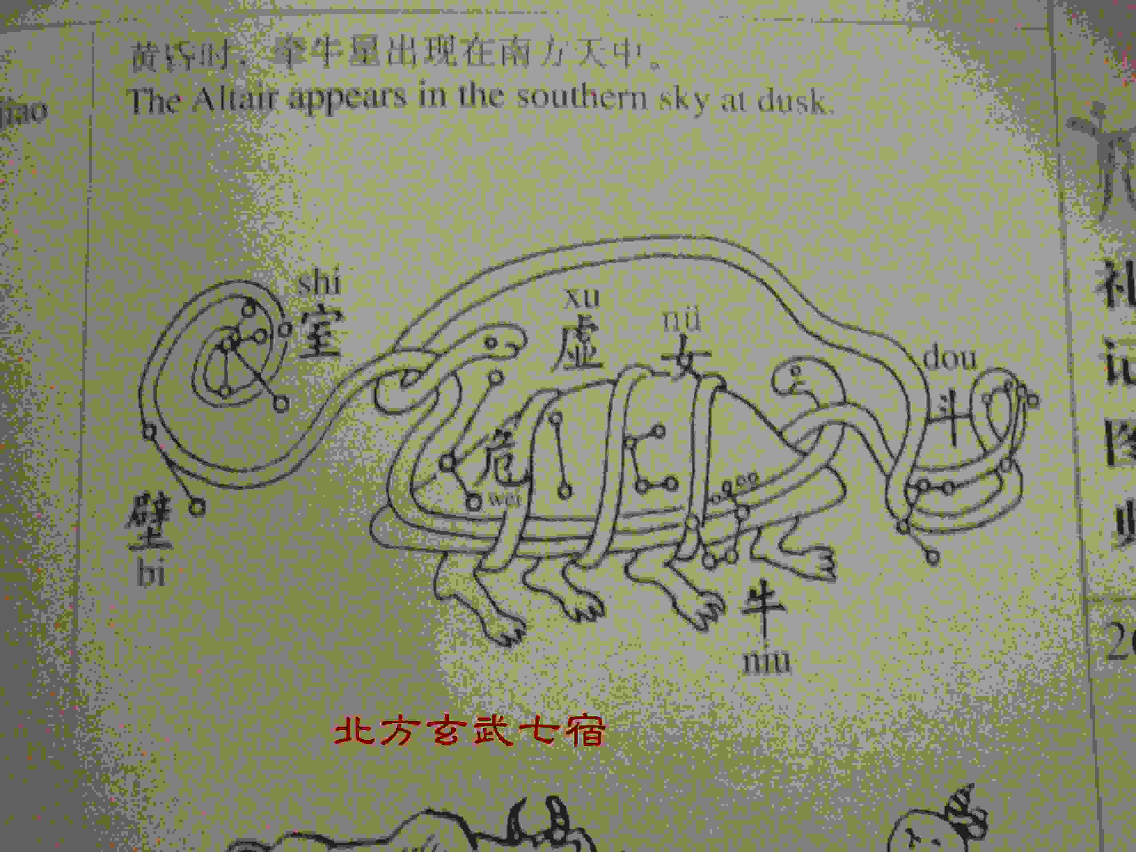 北方玄武七宿