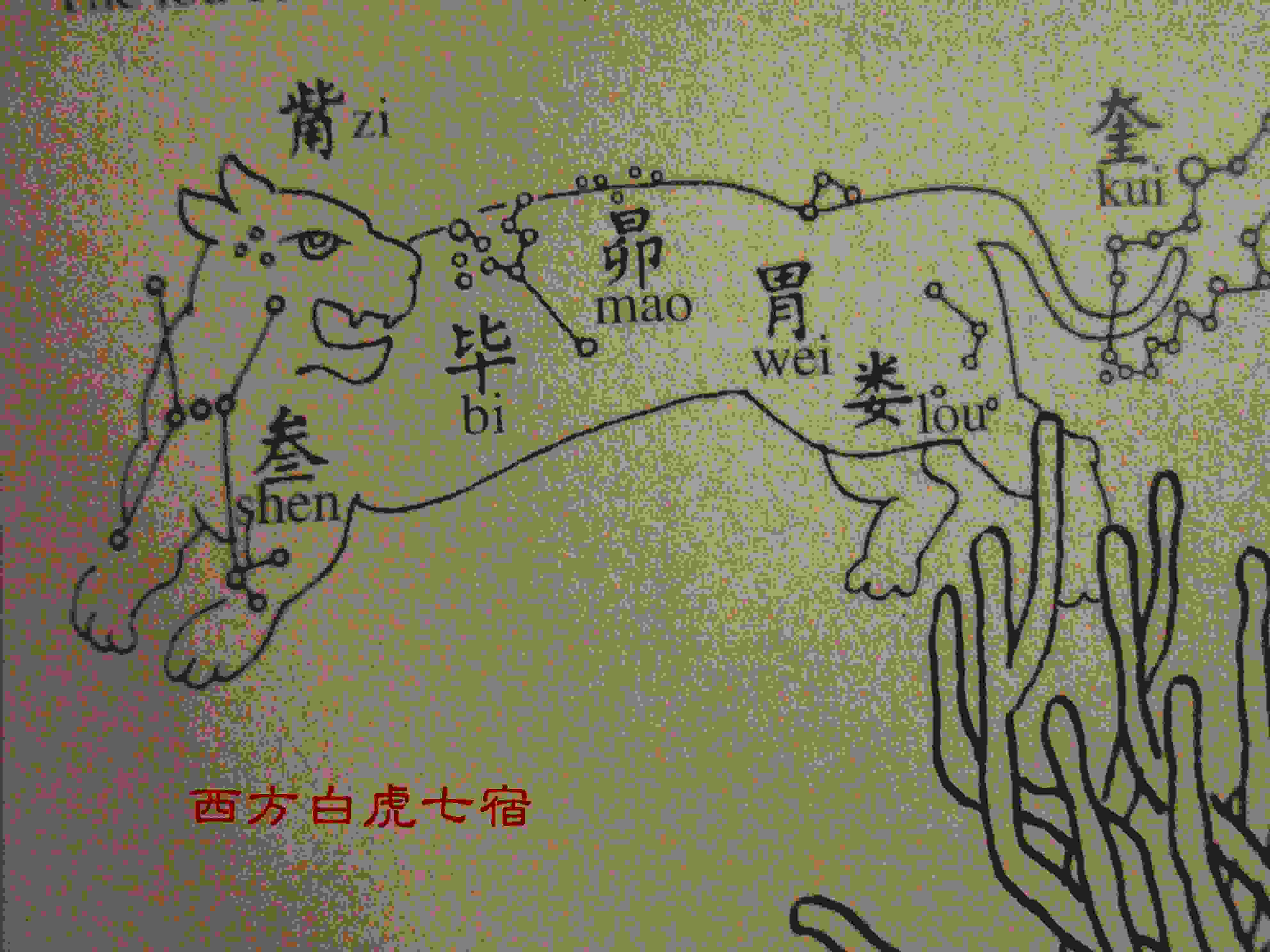 西方白虎七宿