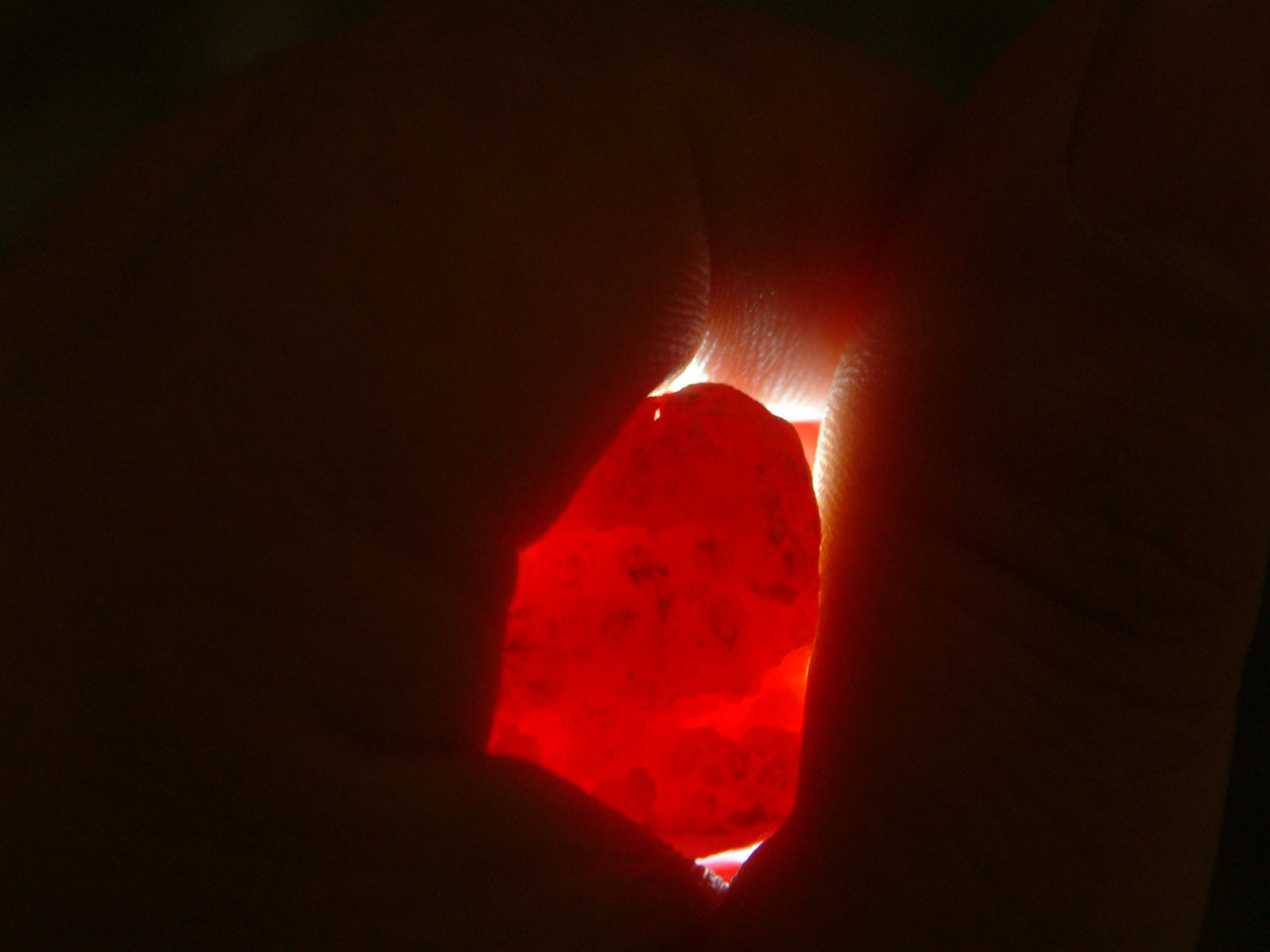 DSCF0326a.jpg