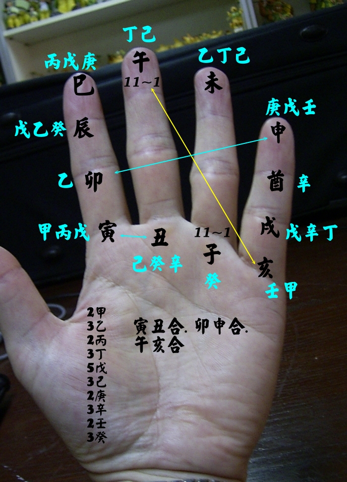 掌形支藏人元.jpg