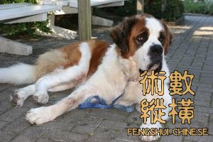 哮天神犬！