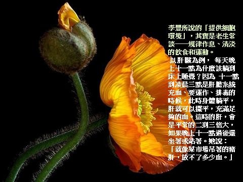 肝臟