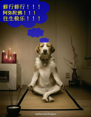 修行.jpg
