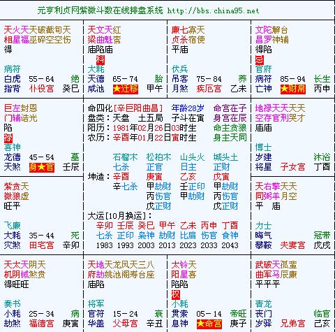 紫微命盘.jpg