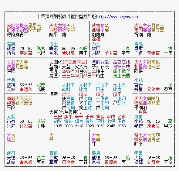 紫薇排盘.jpg