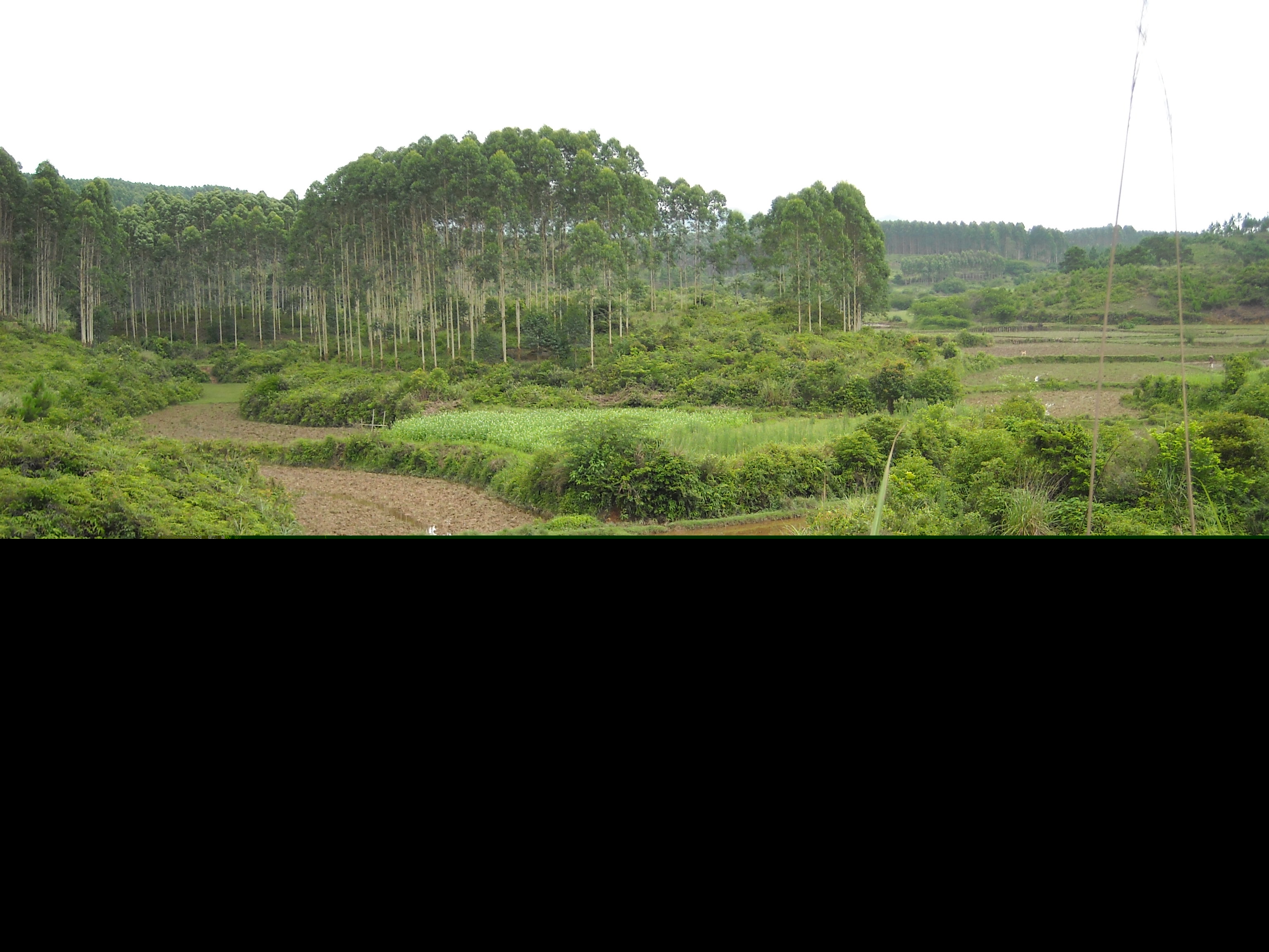 右方子癸水来.jpg