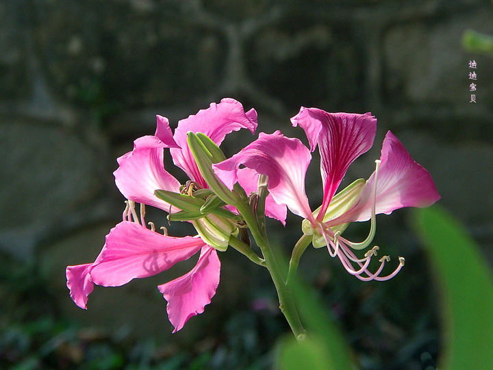 02A93DB0.jpg