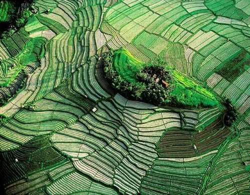 02.jpg