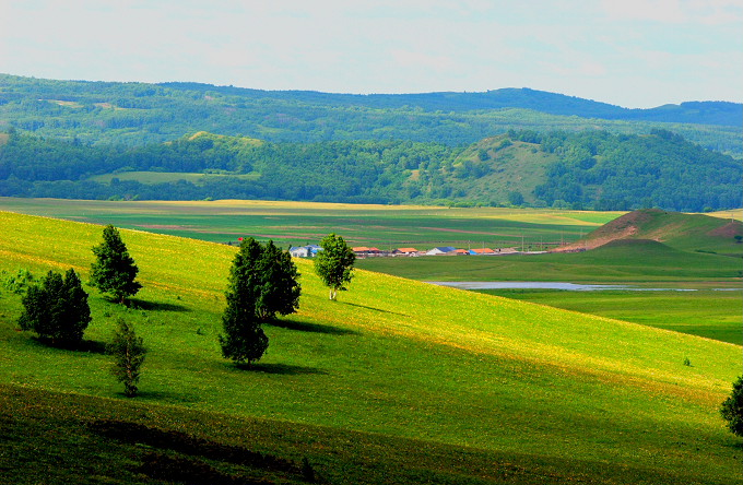 0704468b53f022845.jpg