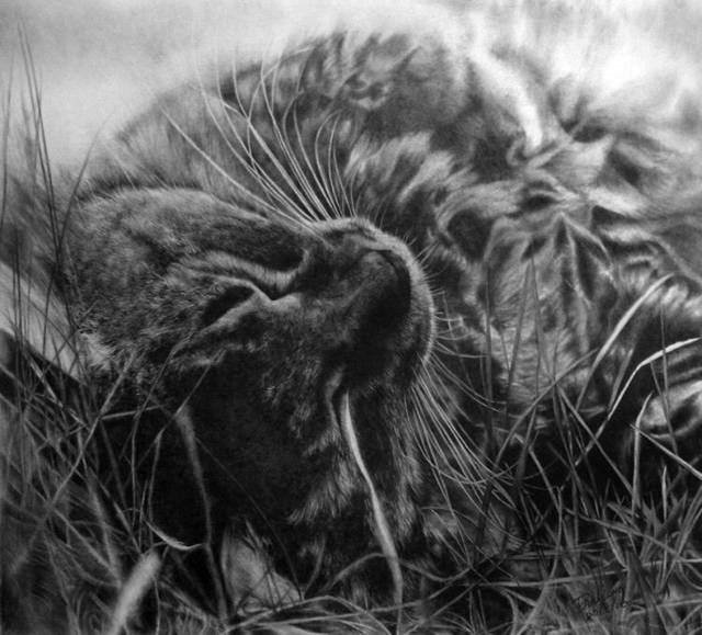 100201image002.jpg