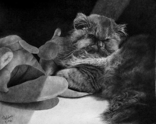 100201image004.jpg