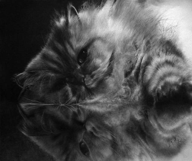 100201image007.jpg