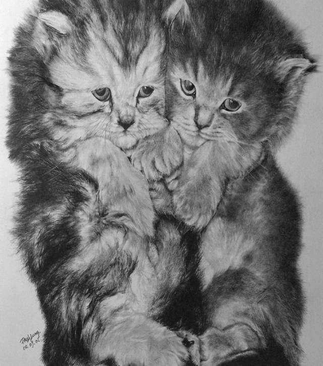 100201image008.jpg