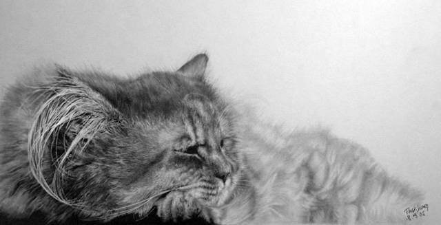 100201image011.jpg