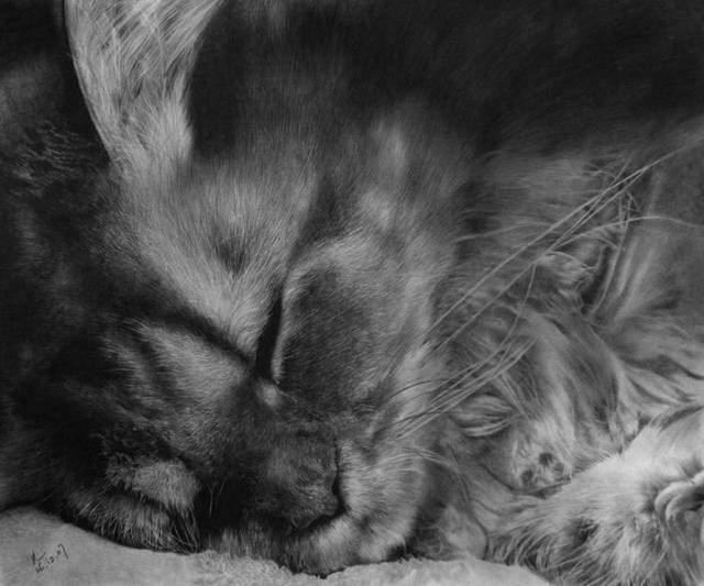 100201image017.jpg