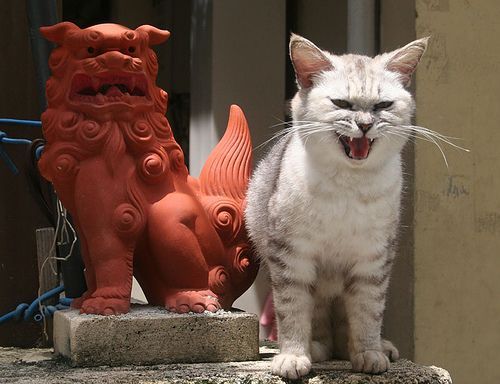 1074.jpg