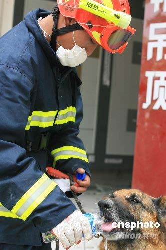 消防搜救队给搜救犬喂水