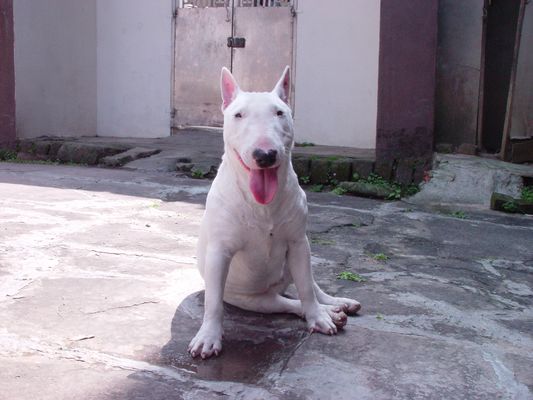 200531287387210.jpg