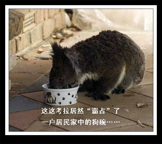 255q815.jpg
