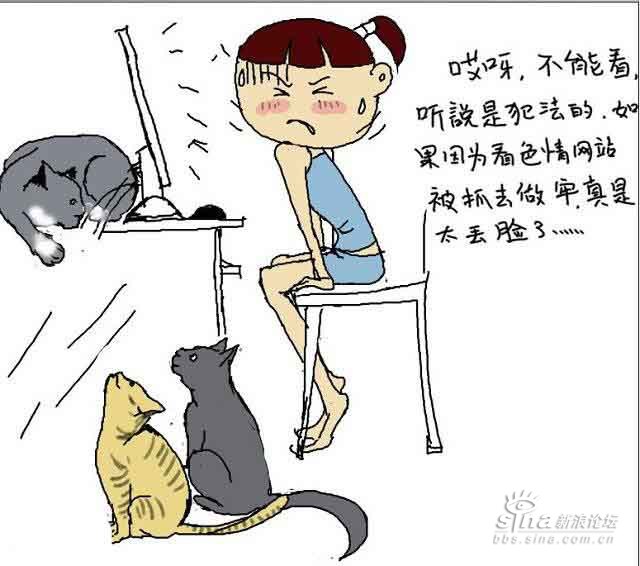 4738f74c01047yhy.jpg