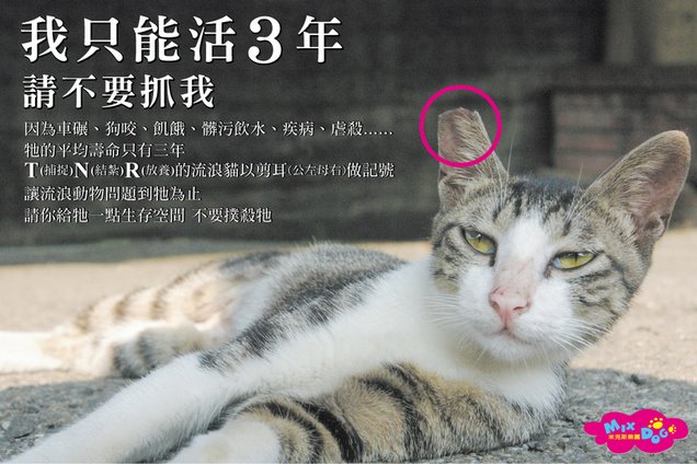 5555.jpg