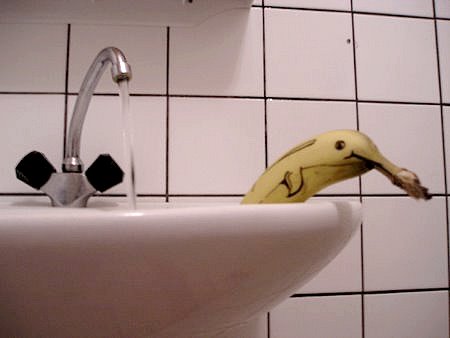57457.jpg