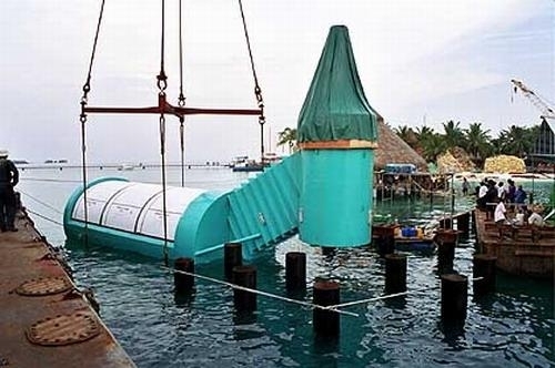 5_20013445.jpg