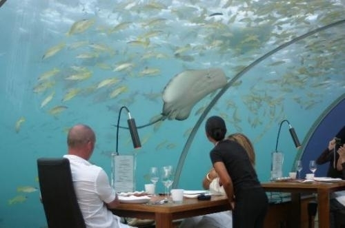 5_20013629.jpg