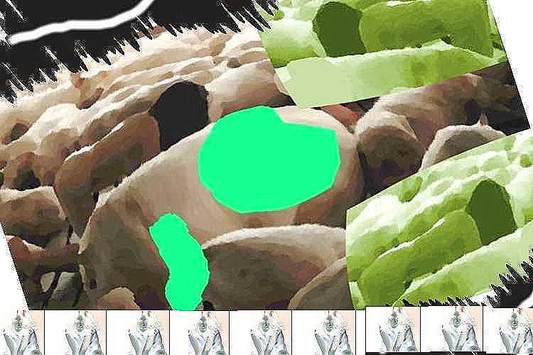 678.jpg