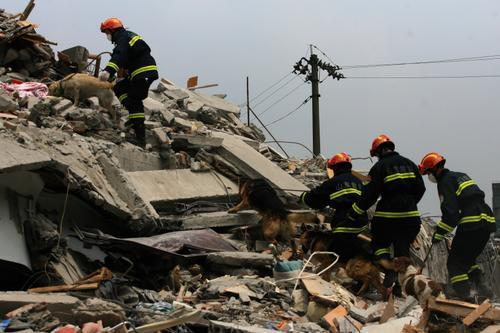 2008年5月15日，都江堰灾区救援现场，山东搜救队员和搜救 ...