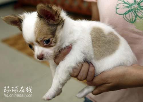 A8D1D6FEAA657505CC3FA154A9ED2637.jpg