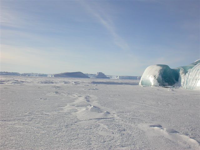 ATT00131.jpg