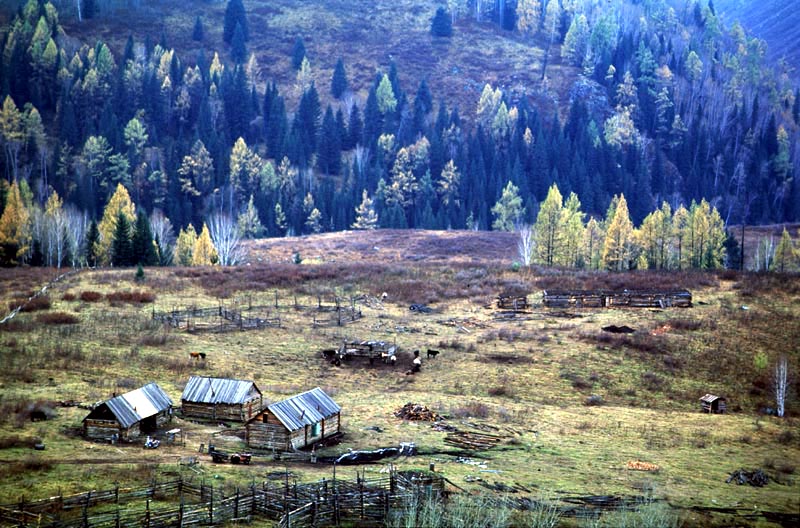 B6.jpg