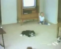 C2.gif