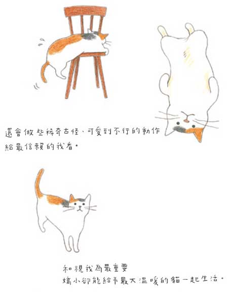 C8.jpg