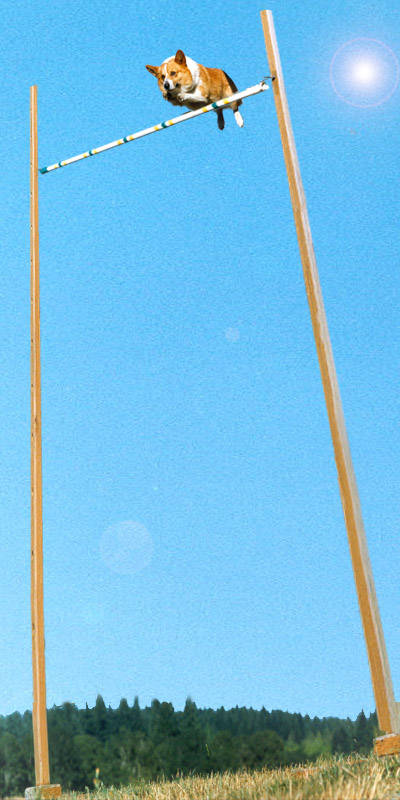 C9.jpg
