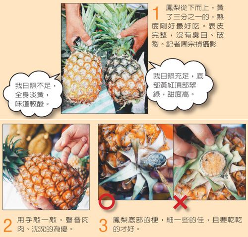 •挑鳳梨