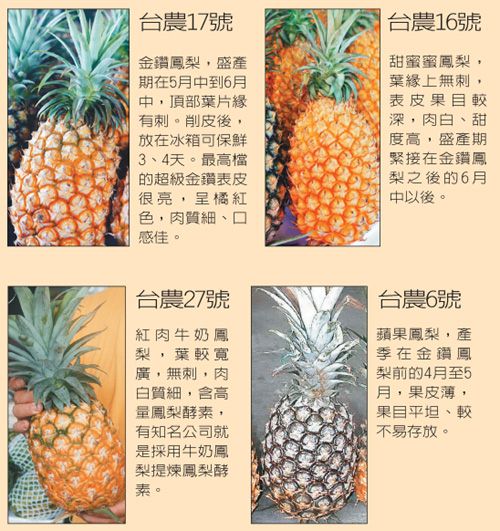 鳳梨品種
