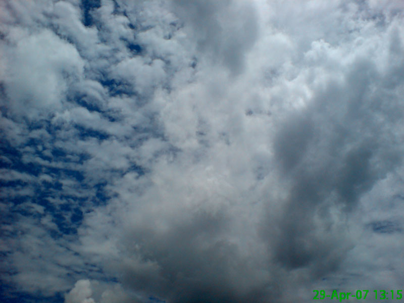 DSC00197.jpg
